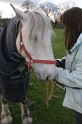 Becky & Bowie 06-04-08 - 12